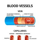 순환한의원 이미지