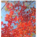 버스정류장 07-210 이미지