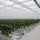 우듬지농장 이미지