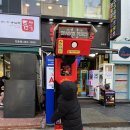 왕게임장 이미지