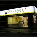 마야동물병원 이미지