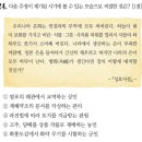 전기통천 이미지