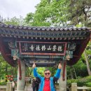 영일만 행정사 이미지