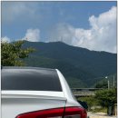 포니카센타 네이버블로그
