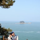 서도초등학교 | 충청도 여행, 동백과 쭈꾸미가 기다리는 충청도로