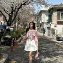 바니블러쉬