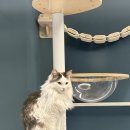 봉식동물병원 이미지