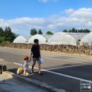 제주 춘자네 펜션 이미지