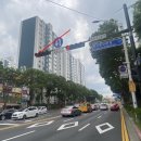 분당-226 이미지