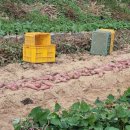 둔대 다기능회관 이미지