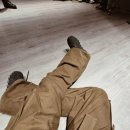 강아지 나라 이미지