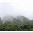 폭포횟집