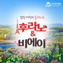 예약 가능한 삿포로역 근처 하나마루 초밥집 이미지