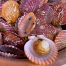 사거리포차 이미지