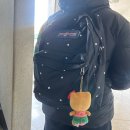 상현상사 | [🇦🇺퇴사 후 호주 어학연수&amp;워홀 준비,,ep.0] 준비과정 기록,,,