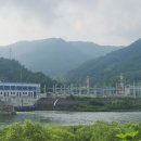 윗대이리 이미지