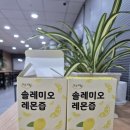 솔레미오 | [솔레미오 레몬즙 후기] 물마시기 힘들던 제가 매일 물을 마시게 된 비결!🍋