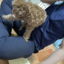 바퀴119엑스터 / 서울바퀴벌레퇴치 후기