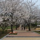 원적산공원 티스토리