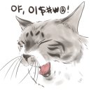 홀스마스터즈 승마클럽 이미지