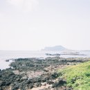 비안 | Wedding 2. 제주 웨딩 야외 스냅 '비안스냅' 계약 후기! 감성 제주 스냅 추천!