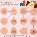 아이를 성장시키는 밥의 힘 이미지