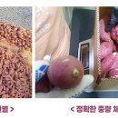 들새암농원