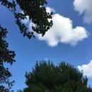 짱오락실 대전둔산점 | 대전 여행_개봉작 귀멸의 칼날로 하루를 마무리하기!!!