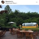 제이비플라워