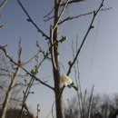 진주체육공원 이미지