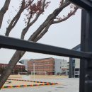 광주중앙초등학교 이미지