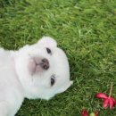 하남숲동물병원 이미지