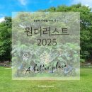 쉴위훌라 | 2025원더러스트후기 아쉽지만 또 기다려지는 축제