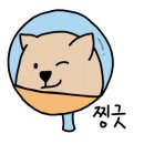 장성글로벌