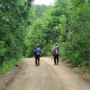 경기옛길 의주길 제5길 임진나루길 이미지