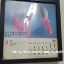 다사랑손칼국수 이미지