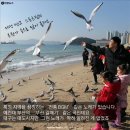 대프리카막창 이미지