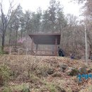 부여(홍산)-04 이미지