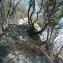 백운봉휴게소 이미지