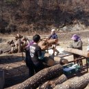 왕촌농산 이미지