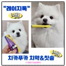 그린독 | 강아지 치약 추천 : 레이지독 강아지 양치세트 사용 후기