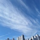 외동부동산공인중개사사무소 이미지