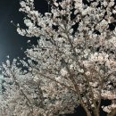 발안천 산책로 이미지