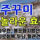 주꾸미 효능 주꾸미 제철 칼로리 이미지