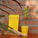 모모네집 이미지