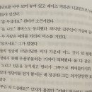 인형스토리 | 봉제인형 시리즈를 읽어보다..😍