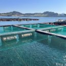 군간낚시터 이미지