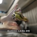 레자미오네뜨