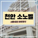 펫클럽천안 | [천안/아산 여행] ④ 천안 가성비 좋은 숙소 추천 <소노벨 천안>