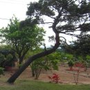 수림농원 이미지